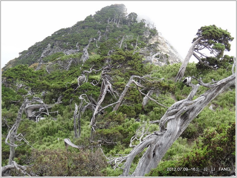 2012-07-11 13-31-30挺進五岩峰.JPG